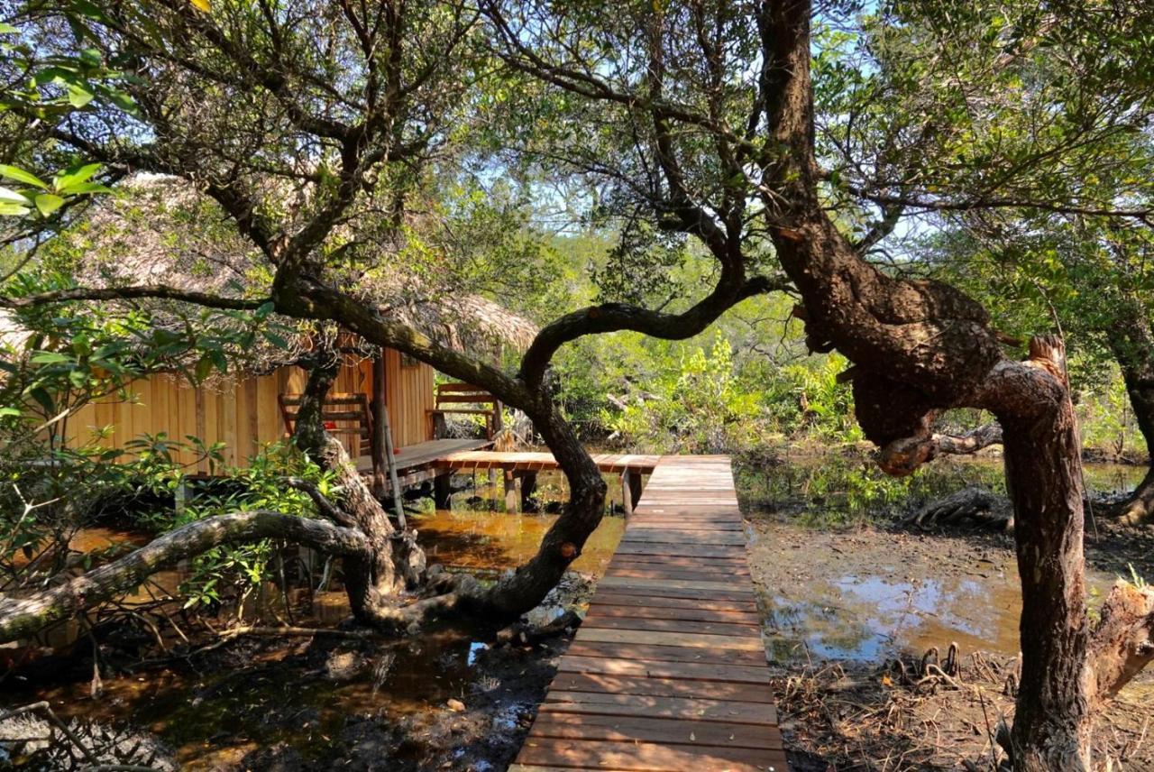 Lily'S Riverhouse Prek Svay Village Εξωτερικό φωτογραφία