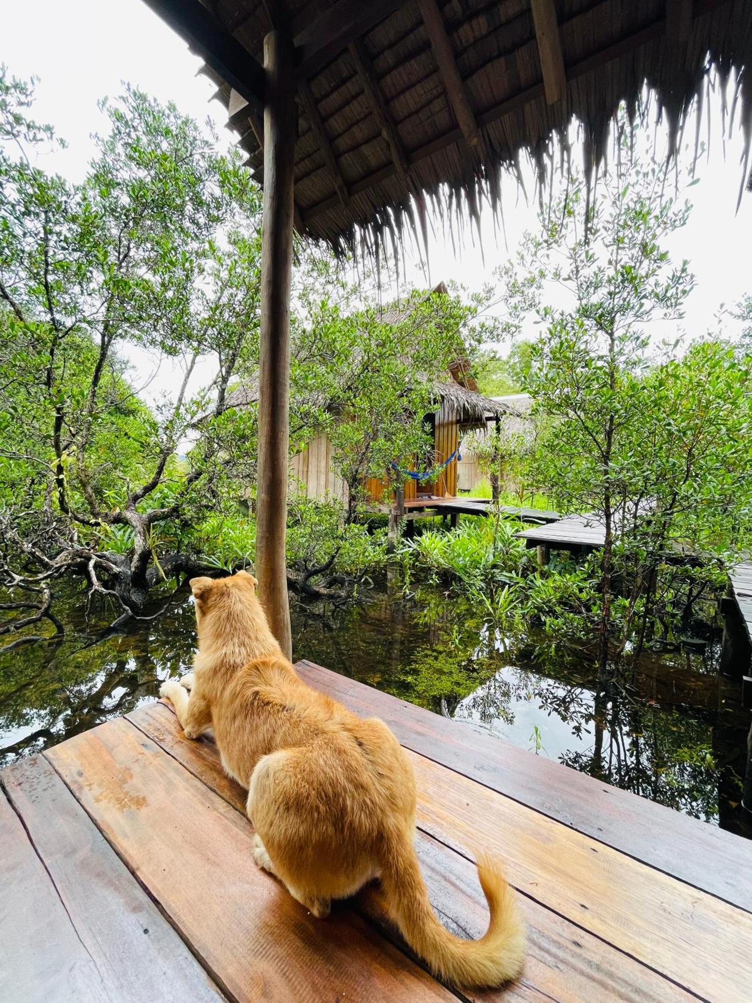 Lily'S Riverhouse Prek Svay Village Εξωτερικό φωτογραφία