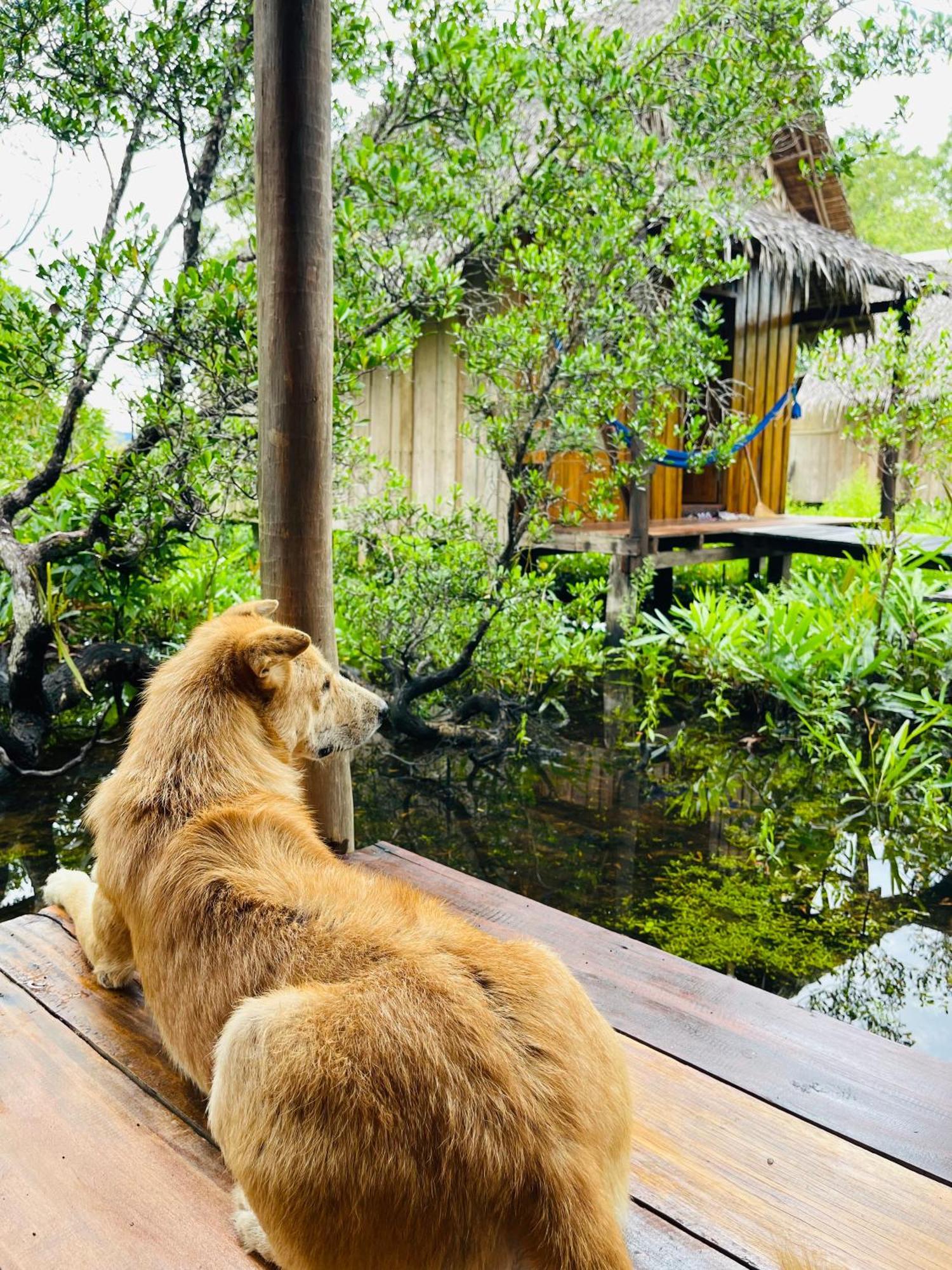 Lily'S Riverhouse Prek Svay Village Εξωτερικό φωτογραφία